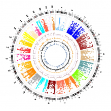 Human genetic variants of GWASdb database. 